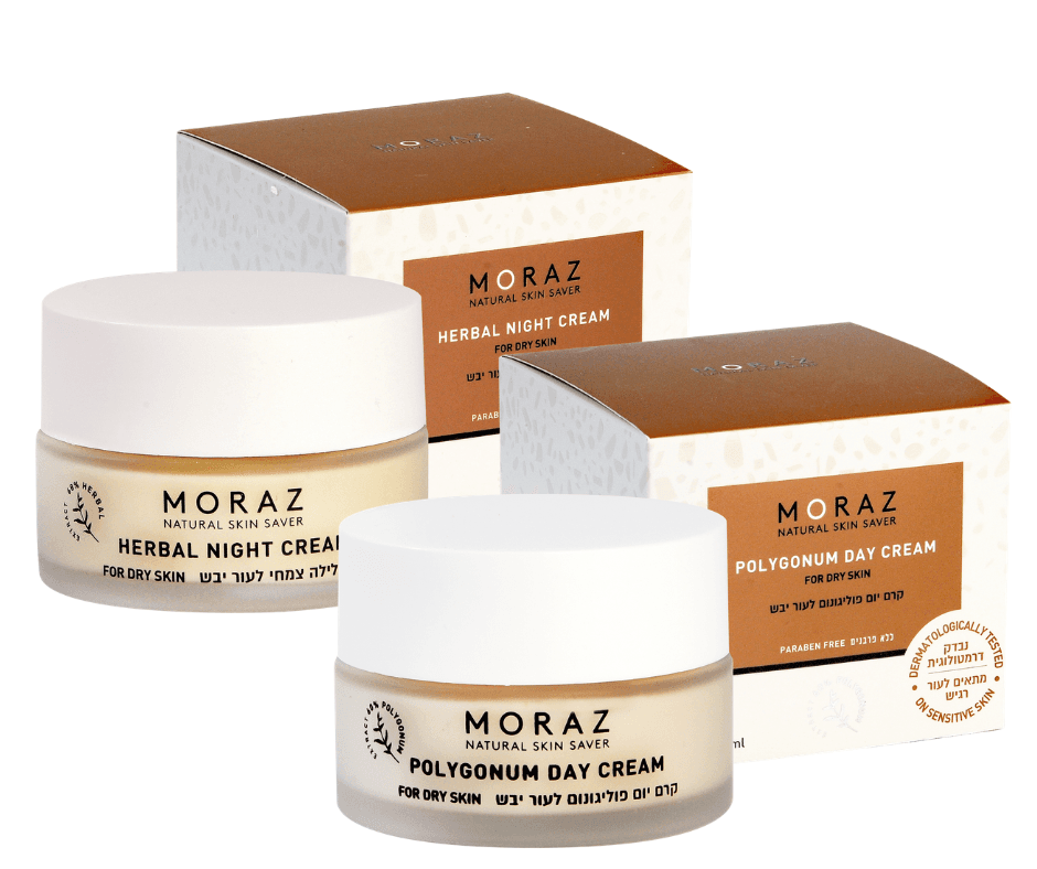 Moraz set dag- en nacht normaal/droog - product image