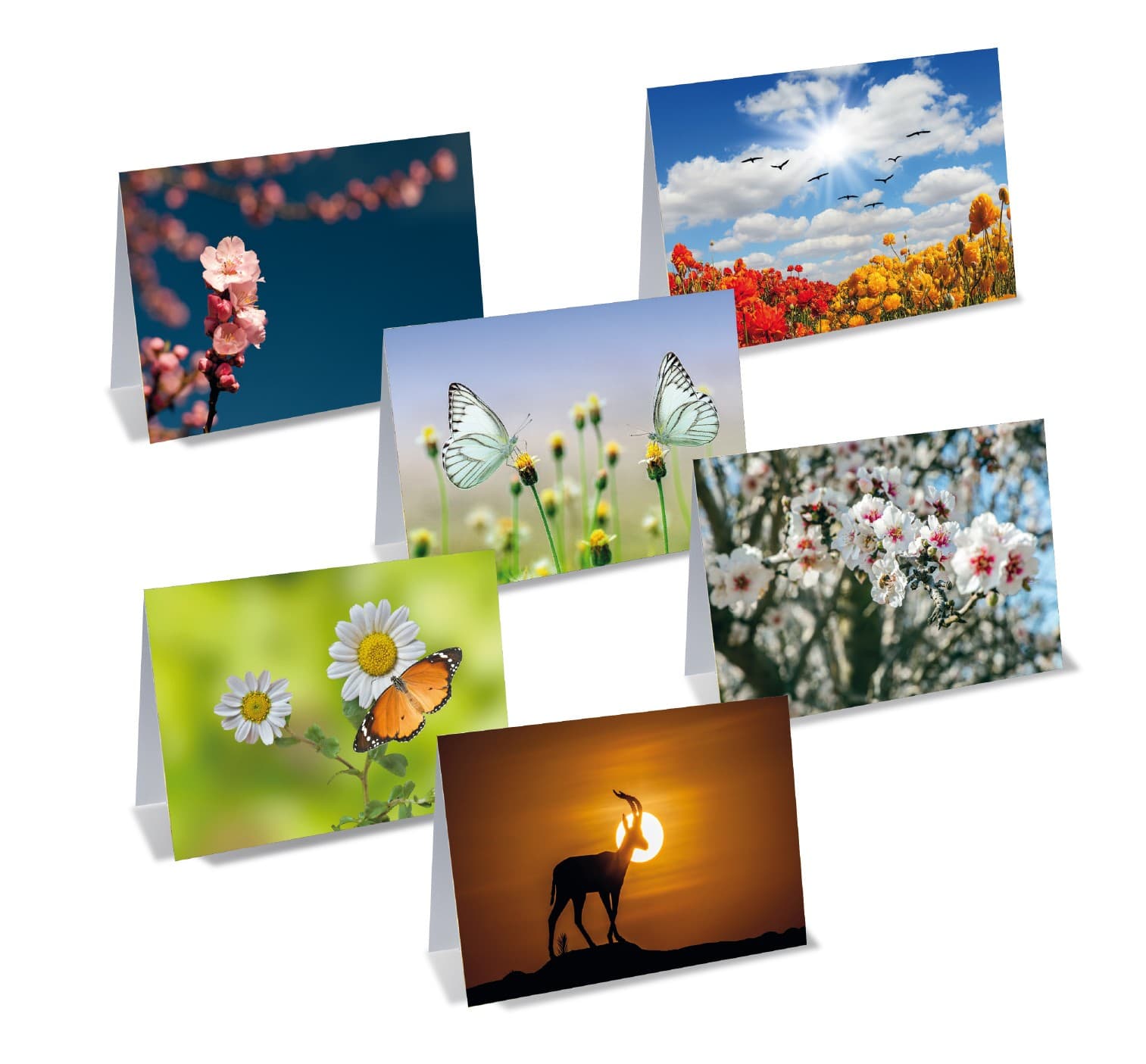 Kaartenset - product image