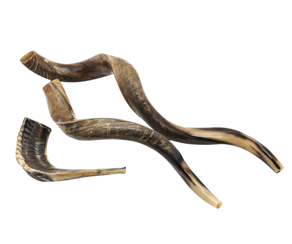 Sjofar Ramshoorn - product image